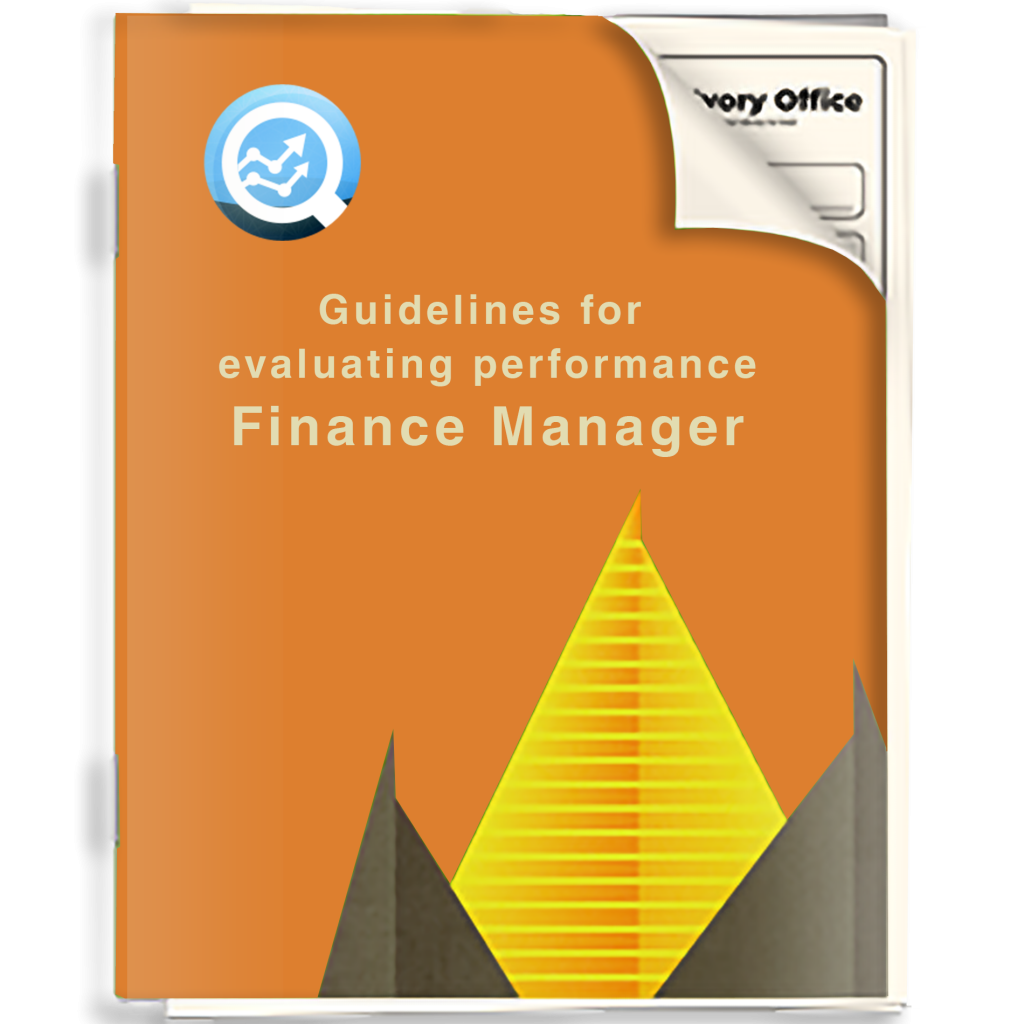 Guidelines for evaluating performance - Finance Manager